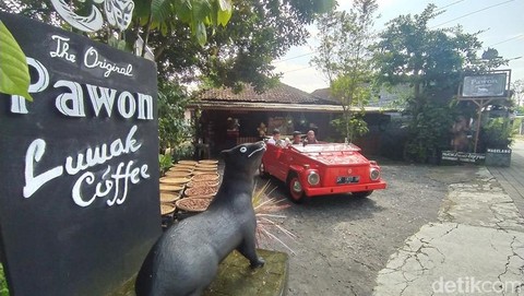 Pawon luwak coffee di kabupaten magelang foto diunggah pada minggu 1962022 4 169