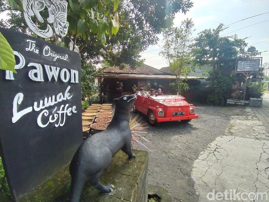Usai Jalan-jalan di Candi Borobudur, Pas Banget Nyeruput Kopi Luwak di Sini
