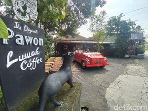 Usai Jalan-jalan di Candi Borobudur, Pas Banget Nyeruput Kopi Luwak di Sini Usai Jalan-jalan di Candi Borobudur, Pas Banget Nyeruput Kopi Luwak di Sini