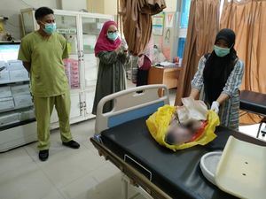 Sedang Petik Pepaya, Warga Lombok Temukan Bayi Terbungkus Plastik Sedang Petik Pepaya, Warga Lombok Temukan Bayi Terbungkus Plastik