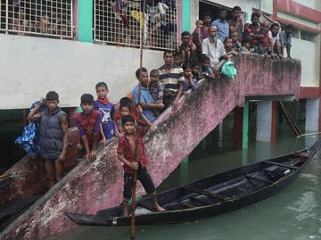 Bangladesh Banjir, Warga Ngungsi Bareng Hewan Ternak di Sekolah