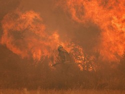 Ngeri! Langit Spanyol Penuh Asap Hitam Akibat Kebakaran Hutan
