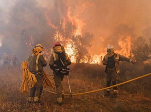 Ngeri! Kebakaran Hutan di Spanyol Rusak Puluhan Ribu Hektare Lahan