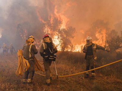 Ngeri! Kebakaran Hutan di Spanyol Rusak Puluhan Ribu Hektare Lahan