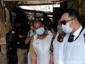 Sapi yang Sudah Divaksin PMK di Jabar Akan Diberi Tanda Khusus