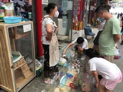 Hindari Wabah Cacar Monyet, China Ketatkan Impor Binatang
