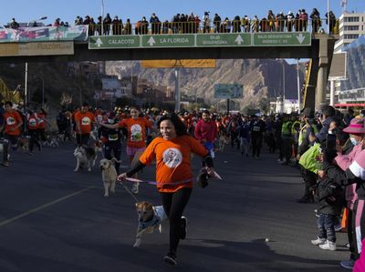 Intip Keseruan Perroton, Lari Maraton Bareng Anjing di Bolivia