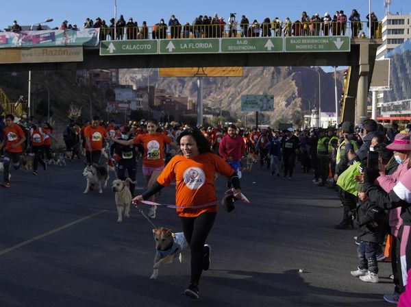 Intip Keseruan Perroton, Lari Maraton Bareng Anjing di Bolivia