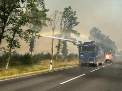 Kebakaran Hutan Paksa Jerman, Yunani dan Spanyol Evakuasi Warga