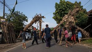 Begini Nih Persiapan Perang Obor di Jepara, Sibuk dan Ramai