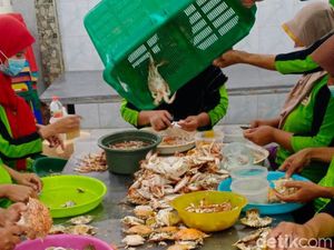 Jeritan Nelayan Lamongan, BBM Naik Tapi Harga Jual Rajungan Terjun Bebas Jeritan Nelayan Lamongan, BBM Naik Tapi Harga Jual Rajungan Terjun Bebas