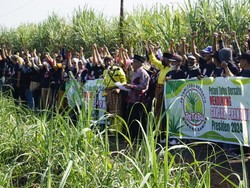 Para Petani Tebu di Sumsel Dukung Ganjar Maju Pilpres 2024