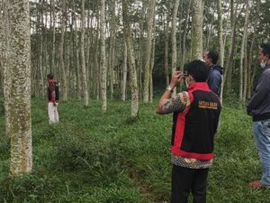 Kejati DIY Sita Tanah hingga Garasi Bus Terkait Kredit Fiktif Bank Rp 28 M