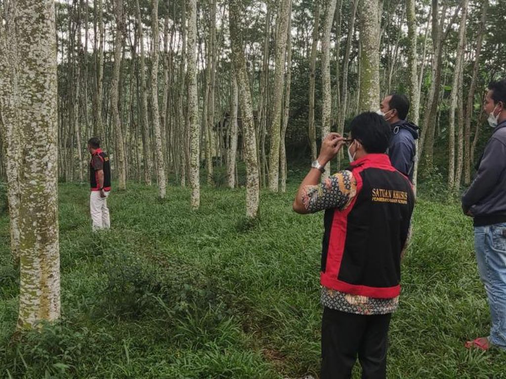Kejati DIY Sita Tanah hingga Garasi Bus Terkait Kredit Fiktif Bank Rp 28 M Kejati DIY Sita Tanah hingga Garasi Bus Terkait Kredit Fiktif Bank Rp 28 M
