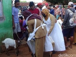 Kambing Kurban Terjangkit Kudis Ditemukan di Pasar Hewan Sumenep