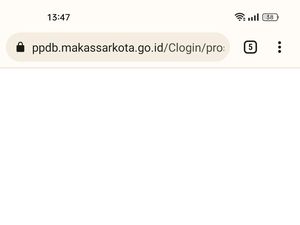 Ortu Keluhkan Keterangan Registrasi Tidak Muncul saat PPDB SD Makassar