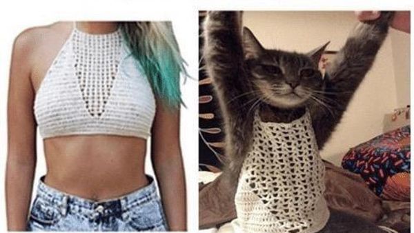 Foto Ekspektasi dan Realita Mencengangkan dan Bikin Ngakak