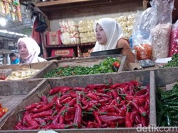 Tekan Inflasi, Pemkot Medan Buat Gerakan Tanam Cabai di Tiap Kecamatan
