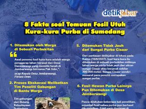 Deretan Fakta Penemuan Fosil Kura-kura Purba di Sumedang Deretan Fakta Penemuan Fosil Kura-kura Purba di Sumedang