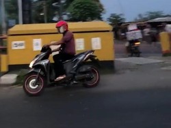 Banyak Laron Teror Pengendara di Jembatan Porong Sidoarjo