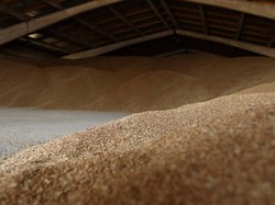 Ukraina Minta Turki Tahan Kapal Kargo Rusia yang Bawa Gandum, Ada Apa?