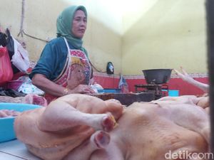 Harga Daging Ayam di Lamongan Naik, Pedagang Sambat Penjualan Turun Harga Daging Ayam di Lamongan Naik, Pedagang Sambat Penjualan Turun