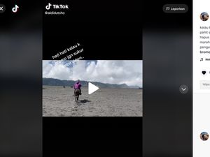 Apes! Viral Rekam Orang Berkuda di Bromo, Malah Dipalak Rp 50 Ribu Apes! Viral Rekam Orang Berkuda di Bromo, Malah Dipalak Rp 50 Ribu