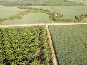 Penampakan 4300 Hektare Lahan Diserobot Eks Cawalkot Palembang