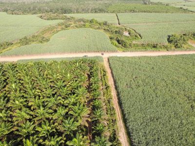 Penampakan 4300 Hektare Lahan Diserobot Eks Cawalkot Palembang