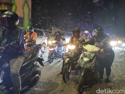 Penjelasan Pakar soal Teror Jutaan Laron di Jembatan Kali Porong Sidoarjo