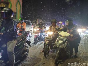 Penjelasan Pakar soal Teror Jutaan Laron di Jembatan Kali Porong Sidoarjo Penjelasan Pakar soal Teror Jutaan Laron di Jembatan Kali Porong Sidoarjo