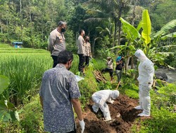 97 Kambing Dibuang di Kali Serang, Petugas Selidiki Penularan PMK Lewat Air