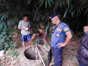 Petugas Damkar Evakuasi Biawak yang Masuk Sumur Warga di Bogor Petugas Damkar Evakuasi Biawak yang Masuk Sumur Warga di Bogor