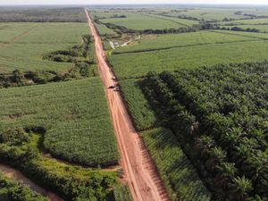 Polisi Sita 4.384 Hektare Lahan di Sumsel Imbas Kasus Perambahan