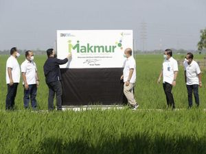 Pendanaan Petani Program Makmur Pupuk Indonesia Capai Rp 2,9 T di 2022 Pendanaan Petani Program Makmur Pupuk Indonesia Capai Rp 2,9 T di 2022