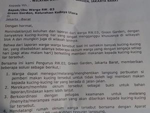 Viral Surat Edaran RW di Jakbar Larang Warga Beri Makan Kucing Liar Viral Surat Edaran RW di Jakbar Larang Warga Beri Makan Kucing Liar