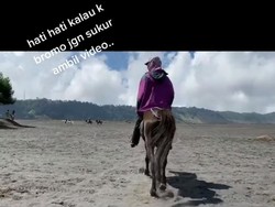 Tanggapan TNBTS soal Traveler Dipalak Saat Merekam Kuda di Bromo