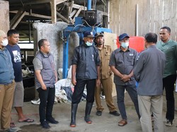 Wabup Garut Imbau Peternak Tak Jatuhkan Harga Sapi yang Terkena PMK