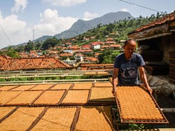 Semerbak Tembakau Sumedang yang Kian Manis dari Pajak Cukai