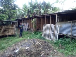 Belasan Kambing Kurban di Blitar Digasak Maling, Korban Rugi Rp 41 Juta