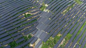 Astetik Banget, Saat Panel Surya Tutupi Perbukitan di Desa Ini