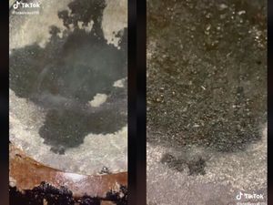 Viral Cobek Batu Dibakar Keluar Belatung, Kok Bisa? Viral Cobek Batu Dibakar Keluar Belatung, Kok Bisa?