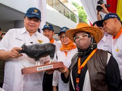 Airlangga Ungkap 3 Kunci Hadapi Isu Ketahanan Pangan di Dalam Negeri
