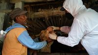 Berbaju Hazmat, Petugas Cek Kesehatan Sapi di Sleman
