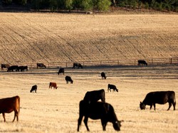 Ada AI hingga Hoax, Ini Daftar Ancaman Paling Berbahaya 10 Tahun ke Depan