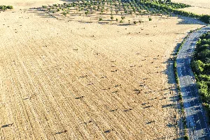 Foto-foto Ini Rekam Kekeringan Ekstrem di California, AS