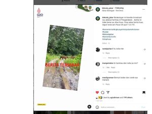 Heboh Harimau Muncul di Pangandaran, BBKSDA Jabar: Hoaks! Heboh Harimau Muncul di Pangandaran, BBKSDA Jabar: Hoaks!