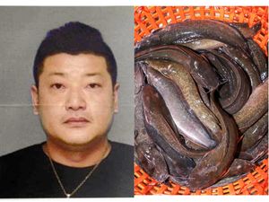 Mitsuhiro Taniguchi: Embat Bansos, Ternak Lele di Lampung, Kini Dideportasi Mitsuhiro Taniguchi: Embat Bansos, Ternak Lele di Lampung, Kini Dideportasi