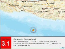 Gempa M 3,1 Goyang Bantul