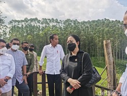 Puan: Kami Percaya IKN Nusantara Bukan Proyek Imajinasi